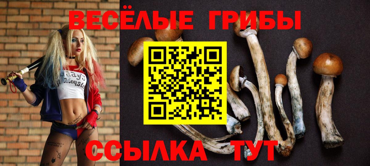 Галлюциногенные грибы Psilocybine cubensis Уссурийск